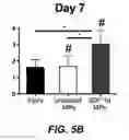 Fig. 13 - Degradable Microparticles for Protein and Small Molecule Delivery
