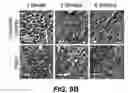 Fig. 19 - Degradable Microparticles for Protein and Small Molecule Delivery