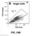 Fig. 22 - Degradable Microparticles for Protein and Small Molecule Delivery