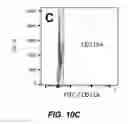 Fig. 23 - Degradable Microparticles for Protein and Small Molecule Delivery