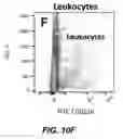 Fig. 26 - Degradable Microparticles for Protein and Small Molecule Delivery