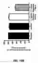 Fig. 33 - Degradable Microparticles for Protein and Small Molecule Delivery