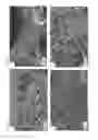 Fig. 16 - DRUG-DELIVERING COMPOSITE STRUCTURES