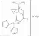 Fig. 02 - NEBULIZED TIOTROPIUM