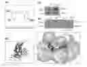 Fig. 01 - Pharmaceutical composition for preventing or treating arthritis or inflammatory disease containing 2-methoxy-4-(3-(4-methoxyphenyl)propyl-1-en-1-yl)phenol as active ingredient