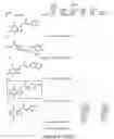 Fig. 08 - METHODS AND COMPOSITIONS FOR TREATING DISORDERS