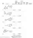 Fig. 40 - METHODS AND COMPOSITIONS FOR TREATING DISORDERS