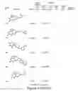 Fig. 41 - METHODS AND COMPOSITIONS FOR TREATING DISORDERS