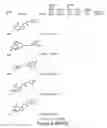 Fig. 43 - METHODS AND COMPOSITIONS FOR TREATING DISORDERS