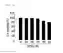 Fig. 02 - COMPOSITION INCLUDING 3-BROMO-4,5-DIHYDROXYBENZALDEHYDE COMPOUND AS EFFECTIVE COMPONENT FOR PROTECTING AND TREATING SKIN CELL AGANIST ULTRAVIOLET