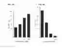 Fig. 04 - Receptor subtype and function selective retinoid and rexinoid compounds in combination with immune modulators for cancer immunotherapy