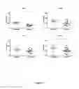 Fig. 02 - Compositions and Methods for the Improvement of Memory