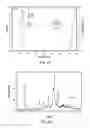 Fig. 12 - Single-dose, ready-to-use injectable formulations