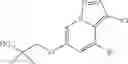 Fig. 296 - Substituted pyrazolo[1,5-a]pyridine compounds as RET kinase inhibitors