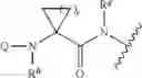Fig. 05 - Substituted pyrazolo[1,5-A]pyridine compounds as RET kinase inhibitors