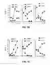 Fig. 03 - METHODS AND MATERIALS FOR PROMOTING BONE FORMATION