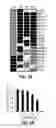 Fig. 07 - METHODS AND MATERIALS FOR PROMOTING BONE FORMATION