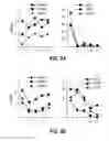 Fig. 09 - METHODS AND MATERIALS FOR PROMOTING BONE FORMATION