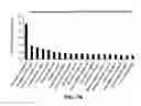 Fig. 13 - METHODS AND MATERIALS FOR PROMOTING BONE FORMATION