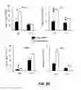 Fig. 17 - METHODS AND MATERIALS FOR PROMOTING BONE FORMATION