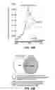 Fig. 26 - METHODS AND MATERIALS FOR PROMOTING BONE FORMATION