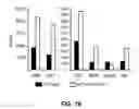 Fig. 34 - METHODS AND MATERIALS FOR PROMOTING BONE FORMATION