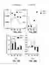 Fig. 52 - METHODS AND MATERIALS FOR PROMOTING BONE FORMATION