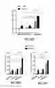 Fig. 55 - METHODS AND MATERIALS FOR PROMOTING BONE FORMATION