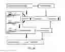 Fig. 58 - METHODS AND MATERIALS FOR PROMOTING BONE FORMATION