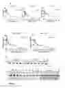 Fig. 03 - Human papilloma virus replication inhibitors