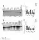 Fig. 04 - Human papilloma virus replication inhibitors