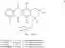 Fig. 05 - CHEMOEMBOLISATION