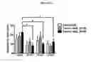 Fig. 09 - Enrichment methods for preparing tannic acid compositions