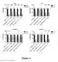 Fig. 05 - Deoxynucleoside therapy for diseases caused by unbalanced nucleotide pools including mitochondrial DNA depletion syndromes