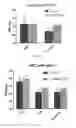 Fig. 02 - COMPOSITION AND METHOD FOR PROMOTING REDUCTION OF HEAT STRESS IN ANIMALS