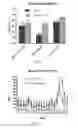 Fig. 04 - COMPOSITION AND METHOD FOR PROMOTING REDUCTION OF HEAT STRESS IN ANIMALS