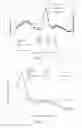 Fig. 09 - COMPOSITION AND METHOD FOR PROMOTING REDUCTION OF HEAT STRESS IN ANIMALS