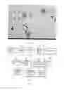 Fig. 02 - METHOD FOR PREPARING MULTIFUNCTIONAL NATURAL GEL AND NATURAL POWDER BY USING MINERAL-BASED SOMATIDS CONTAINED IN NATURAL MINERAL