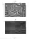 Fig. 06 - METHOD FOR PREPARING MULTIFUNCTIONAL NATURAL GEL AND NATURAL POWDER BY USING MINERAL-BASED SOMATIDS CONTAINED IN NATURAL MINERAL
