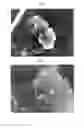 Fig. 08 - METHOD FOR PREPARING MULTIFUNCTIONAL NATURAL GEL AND NATURAL POWDER BY USING MINERAL-BASED SOMATIDS CONTAINED IN NATURAL MINERAL