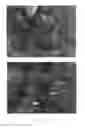 Fig. 09 - METHOD FOR PREPARING MULTIFUNCTIONAL NATURAL GEL AND NATURAL POWDER BY USING MINERAL-BASED SOMATIDS CONTAINED IN NATURAL MINERAL