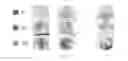 Fig. 30 - METHOD FOR PREPARING MULTIFUNCTIONAL NATURAL GEL AND NATURAL POWDER BY USING MINERAL-BASED SOMATIDS CONTAINED IN NATURAL MINERAL