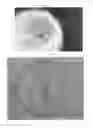 Fig. 40 - METHOD FOR PREPARING MULTIFUNCTIONAL NATURAL GEL AND NATURAL POWDER BY USING MINERAL-BASED SOMATIDS CONTAINED IN NATURAL MINERAL