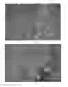 Fig. 41 - METHOD FOR PREPARING MULTIFUNCTIONAL NATURAL GEL AND NATURAL POWDER BY USING MINERAL-BASED SOMATIDS CONTAINED IN NATURAL MINERAL