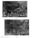 Fig. 43 - METHOD FOR PREPARING MULTIFUNCTIONAL NATURAL GEL AND NATURAL POWDER BY USING MINERAL-BASED SOMATIDS CONTAINED IN NATURAL MINERAL