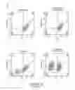 Fig. 46 - Genetically-modified cells comprising a modified human T cell receptor alpha constant region gene