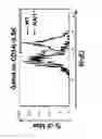 Fig. 17 - KAI1 PROTEIN CONTROLLING CELL CYCLE OF HEMATOPOIETIC STEM CELL, AND USE THEREOF