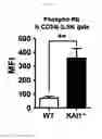 Fig. 20 - KAI1 PROTEIN CONTROLLING CELL CYCLE OF HEMATOPOIETIC STEM CELL, AND USE THEREOF