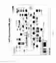 Fig. 24 - KAI1 PROTEIN CONTROLLING CELL CYCLE OF HEMATOPOIETIC STEM CELL, AND USE THEREOF