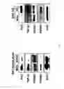 Fig. 27 - KAI1 PROTEIN CONTROLLING CELL CYCLE OF HEMATOPOIETIC STEM CELL, AND USE THEREOF